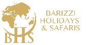 Barizzi_Logo_Light_